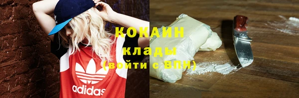 не бодяженный Алексин