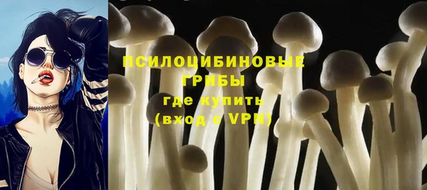 СК Алексеевка