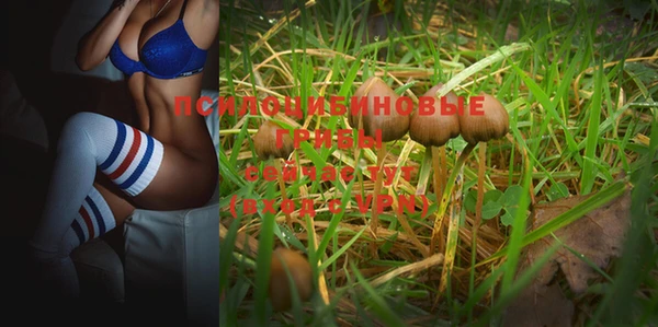 эйфоретик Алзамай