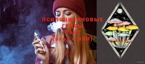 СК Алексеевка